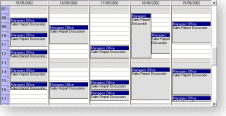 DayView OCX Screenshot